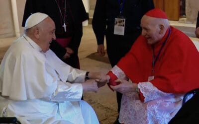 Visita del Papa Francisco a Verona: Un Día de Fe y Encuentros